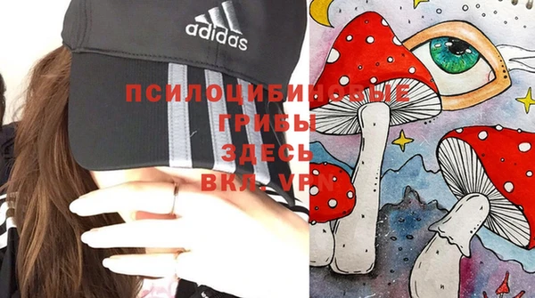 спиды Алзамай