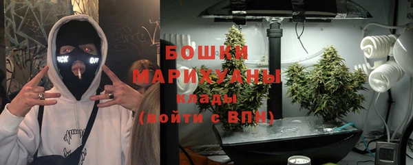 ПСИЛОЦИБИНОВЫЕ ГРИБЫ Алексин