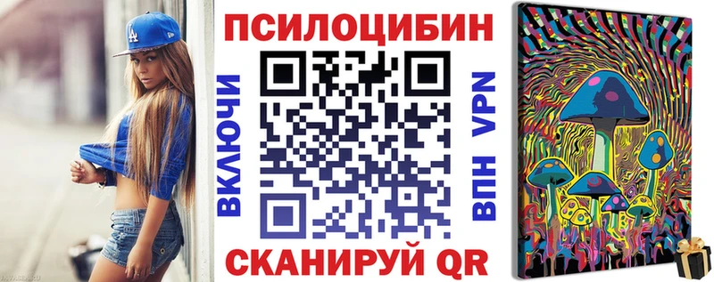 Псилоцибиновые грибы Psilocybine cubensis  Павлово 